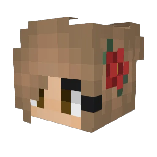 EsoxSilence Minecraft avatar head, 3D render
