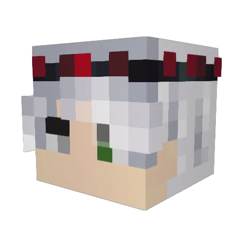 EspacioGamer811 Minecraft avatar head, 3D render