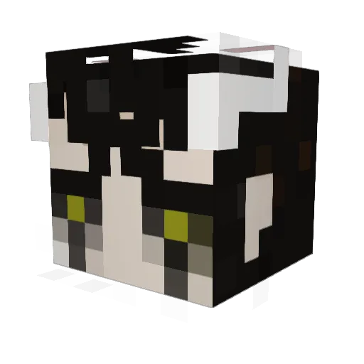 Espada4 Minecraft avatar head, 3D render