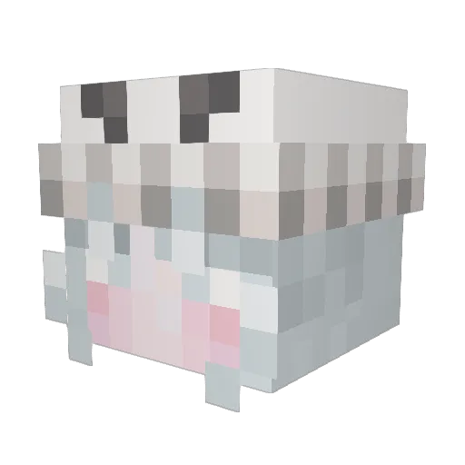 Espae Minecraft avatar head, 3D render