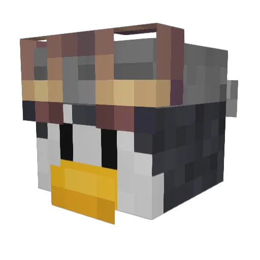 EsperTripL Minecraft avatar head, 3D render