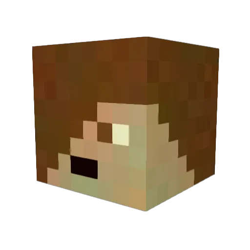 Espindola1 Minecraft avatar head, 3D render