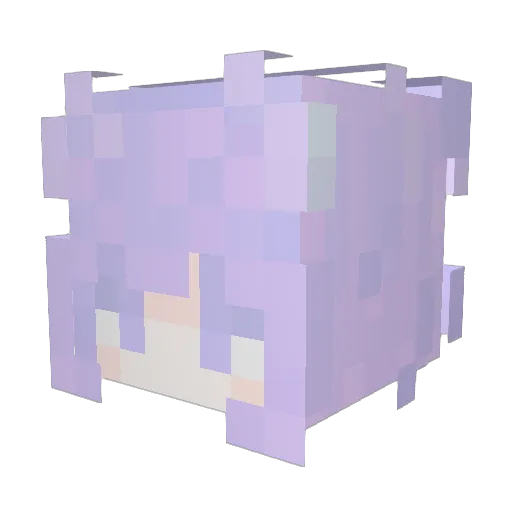 Espo1r_ Minecraft avatar head, 3D render