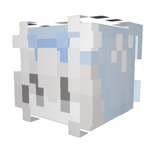 Espre025 Minecraft avatar head, 3D render