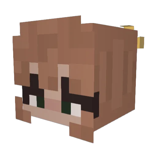 EspressHoe Minecraft avatar head, 3D render