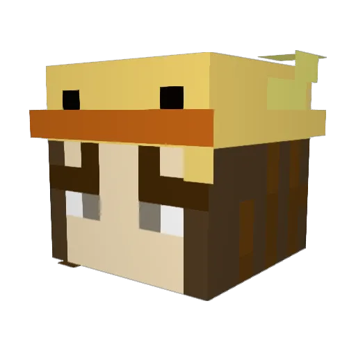 Ess3nce242 Minecraft avatar head, 3D render