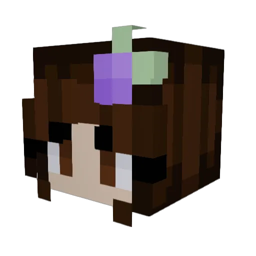 EssAreEye Minecraft avatar head, 3D render