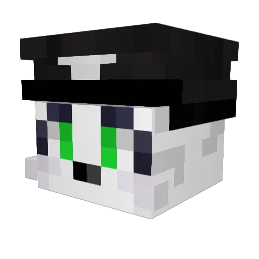 EssEnemiGz Minecraft avatar head, 3D render