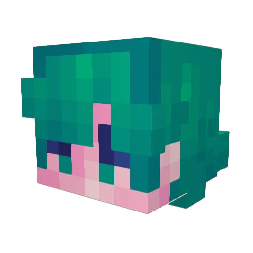 Essa420 Minecraft avatar head, 3D render