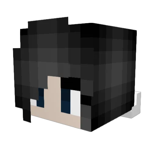 EsseCookies Minecraft avatar head, 3D render