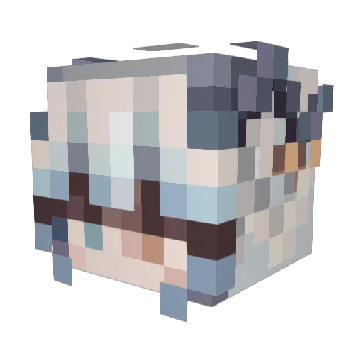 EsseDeineKinder Minecraft avatar head, 3D render