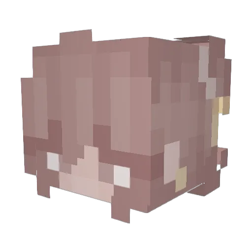 EssieSkye Minecraft avatar head, 3D render