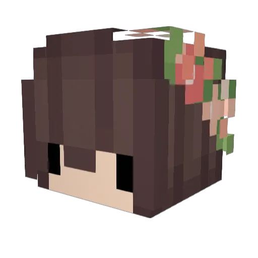 Essppyyy Minecraft avatar head, 3D render