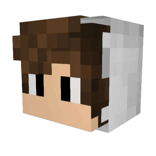 Estafin Minecraft avatar head, 3D render