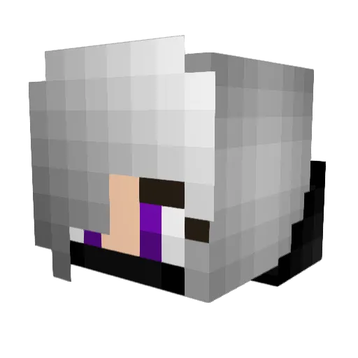 EstarielNovice Minecraft avatar head, 3D render