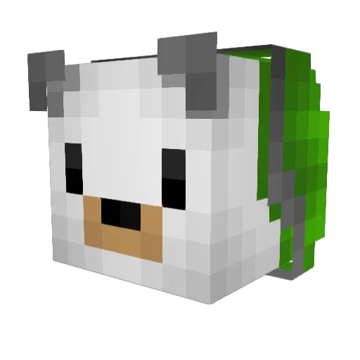 Esteban4391 Minecraft avatar head, 3D render
