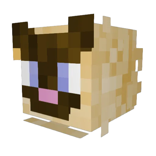 EstebitanZ Minecraft avatar head, 3D render