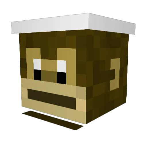 Esteboonn Minecraft avatar head, 3D render