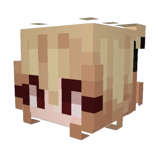 Estefyy16_ Minecraft avatar head, 3D render