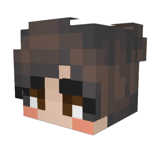 Esteleth Minecraft avatar head, 3D render