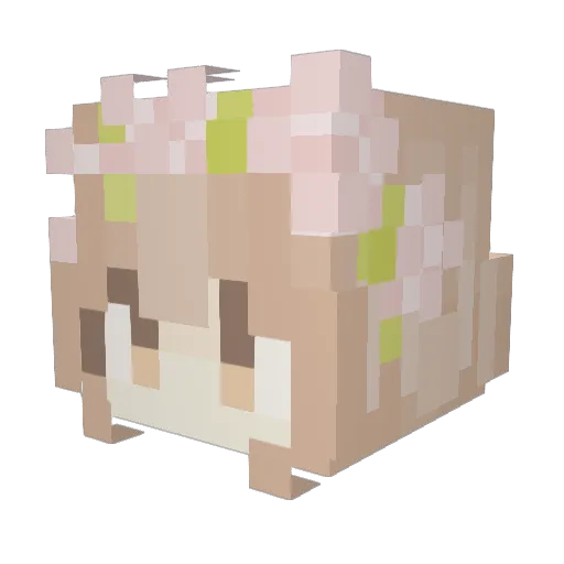 Estell33 Minecraft avatar head, 3D render