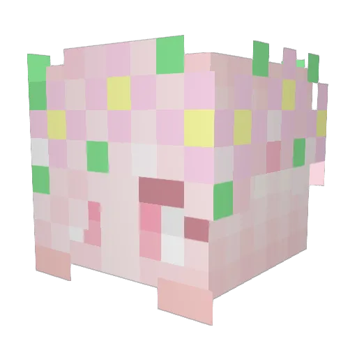 EstelleY Minecraft avatar head, 3D render