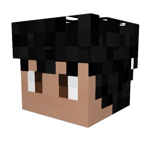 Esteps028 Minecraft avatar head, 3D render