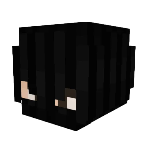 Esternomas_ItGay Minecraft avatar head, 3D render