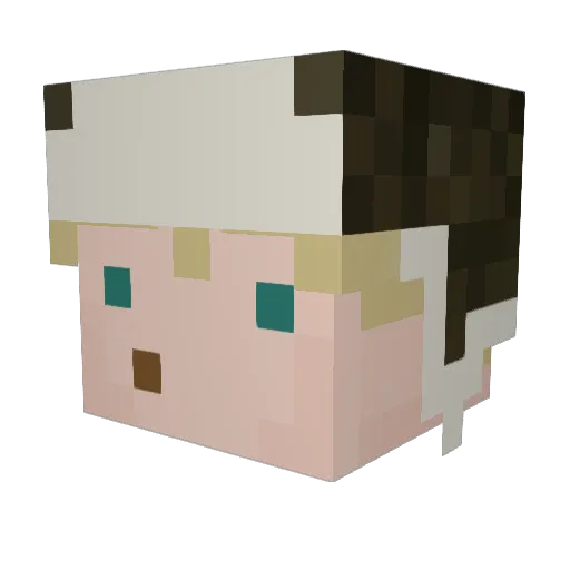 Esthen1 Minecraft avatar head, 3D render