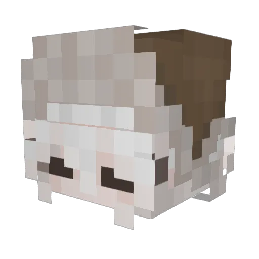 Estl Minecraft avatar head, 3D render