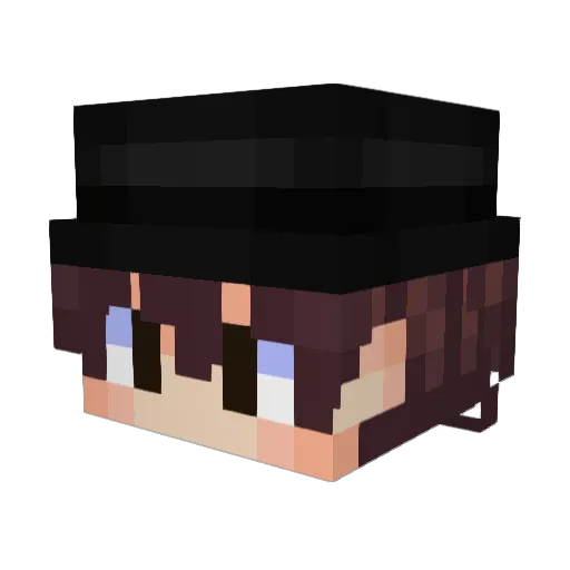 EstofaDox Minecraft avatar head, 3D render