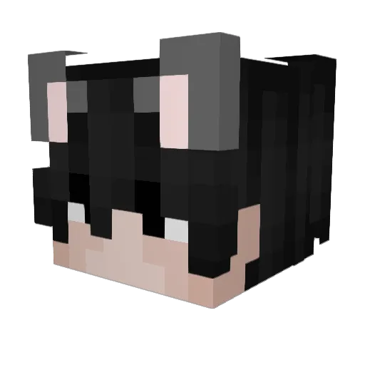 EstraMC Minecraft avatar head, 3D render