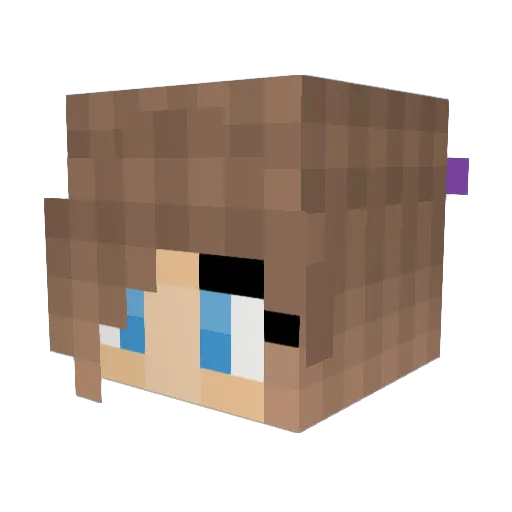 EstrellaNova Minecraft avatar head, 3D render