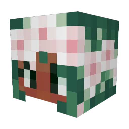 EstrellaReina Minecraft avatar head, 3D render