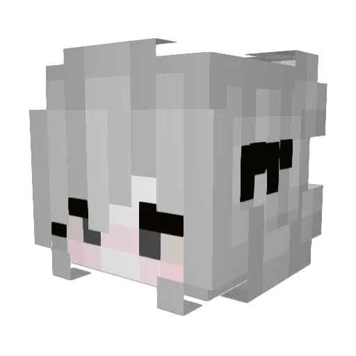 Estrus_ Minecraft avatar head, 3D render