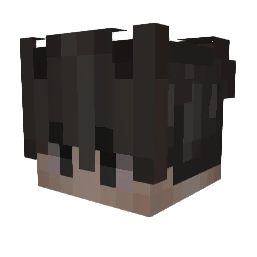 Esvx Minecraft avatar head, 3D render