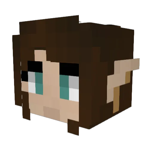 Etain03 Minecraft avatar head, 3D render