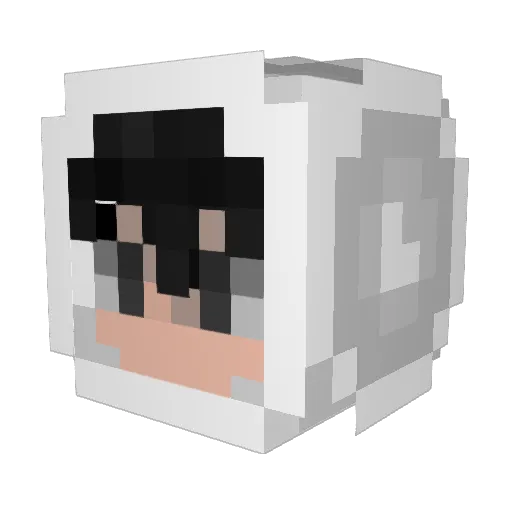 Etan1535 Minecraft avatar head, 3D render