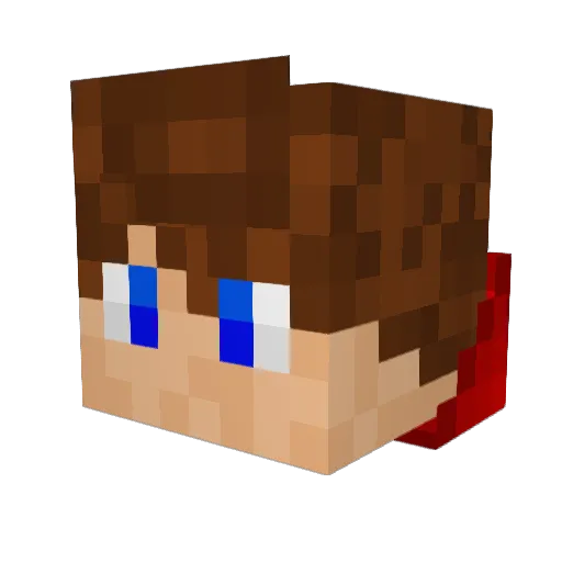 Etan30 Minecraft avatar head, 3D render