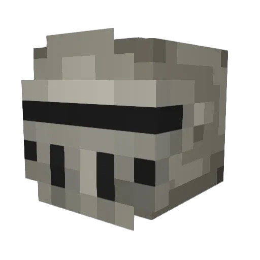 Etanas5566 Minecraft avatar head, 3D render