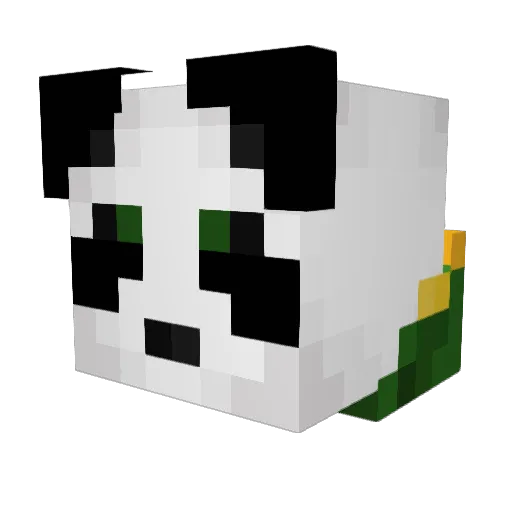 Etanpinininsky Minecraft avatar head, 3D render