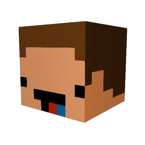Etay8 Minecraft avatar head, 3D render