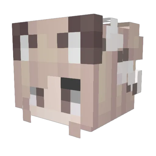 EteRnalYu Minecraft avatar head, 3D render