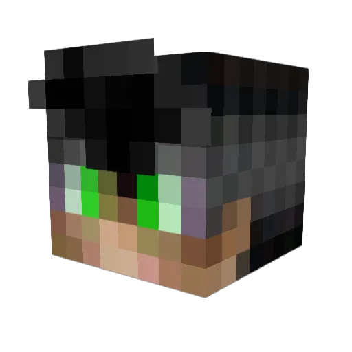 Etein10 Minecraft avatar head, 3D render