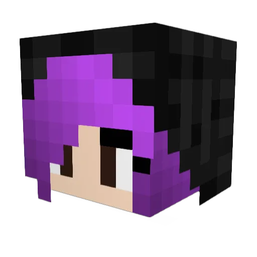EternaNight Minecraft avatar head, 3D render