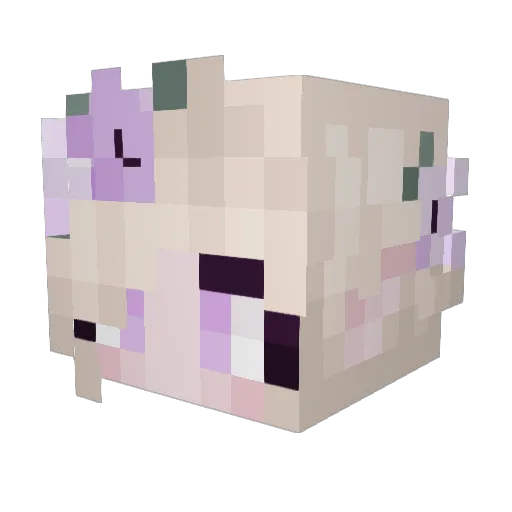 EternalDawnPlayz Minecraft avatar head, 3D render