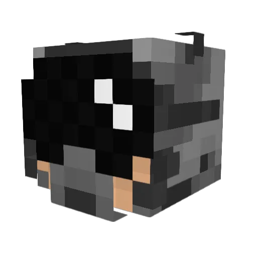 EternalDemise55 Minecraft avatar head, 3D render