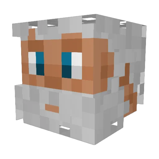 EternalSithis Minecraft avatar head, 3D render