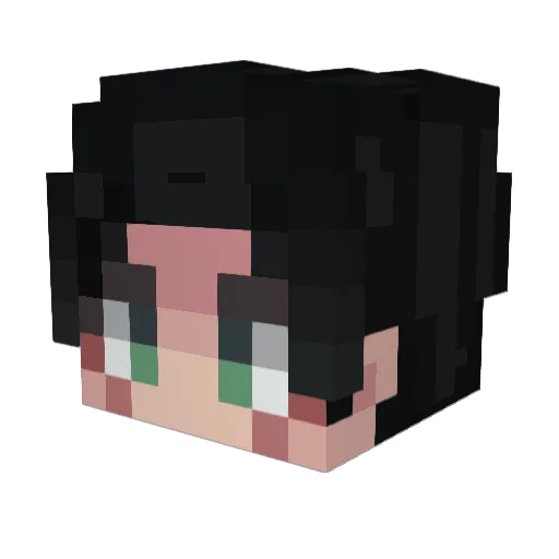 EternalWolf3050 Minecraft avatar head, 3D render