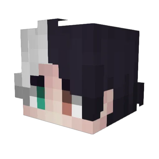 Eternalee_ Minecraft avatar head, 3D render